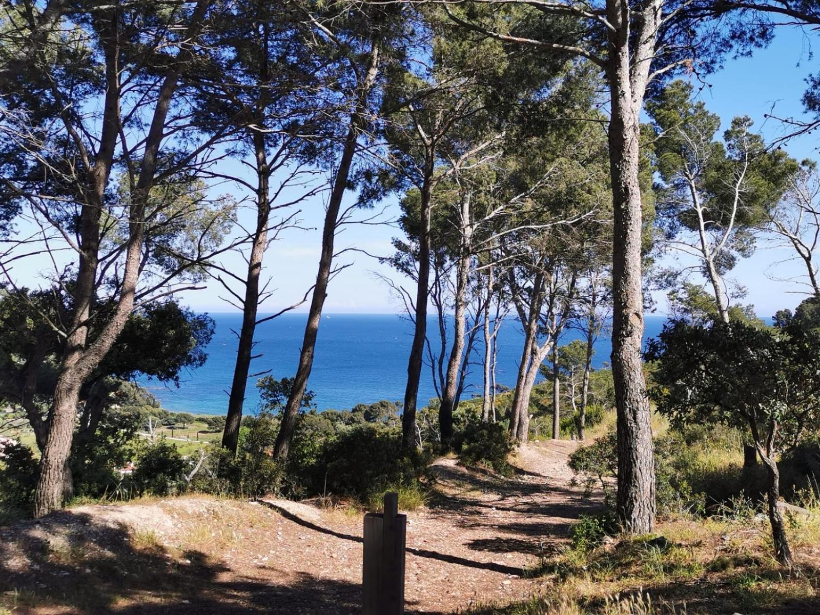 Petit Paradis - St Mandrier Village Saint-Mandrier-sur-Mer Extérieur photo